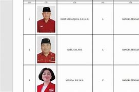 Caleg Dprd Dapil 1 Jakarta Pusat 2024